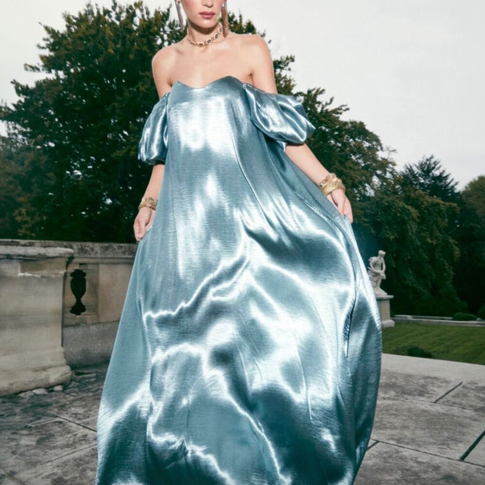 Caroline Constas Shimmering Blue Maxi Dress